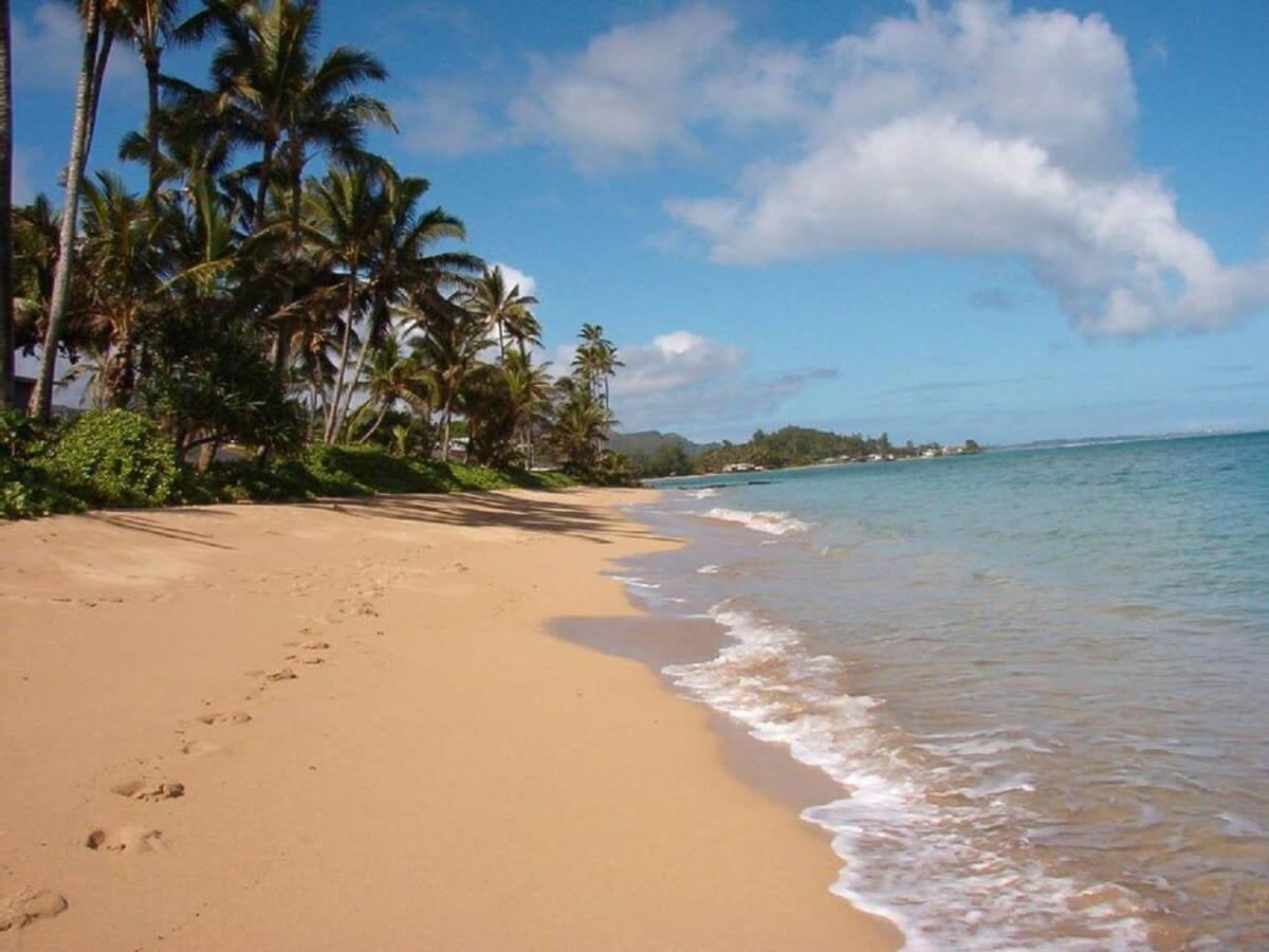 Luxury Beachfront Condo Hau'ula Exteriér fotografie