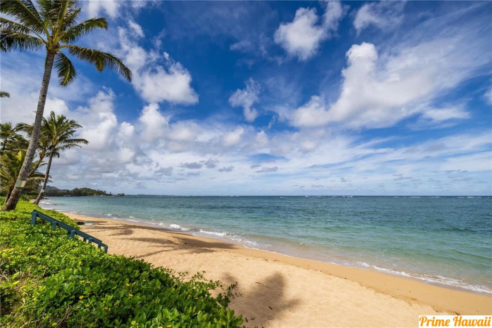 Luxury Beachfront Condo Hau'ula Exteriér fotografie